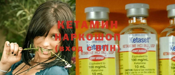 крисы Новодвинск
