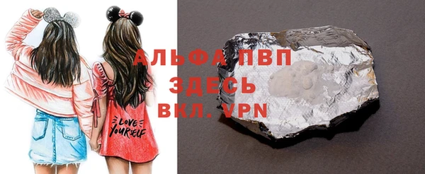 крисы Новодвинск